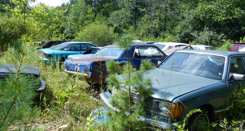 Illustration for article titled A Michigan Town Is Forcing This Man To Sell 20 Old Cars Off His Property Every Month